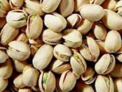 الصناعة الغذائية